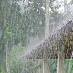 Rain by Edward Thomas