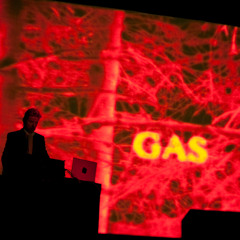 Line Noise 200 - Wolfgang Voigt / GAS