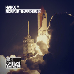 Simulated (Radion6 Remix) (Radio Edit)