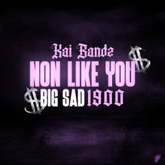 Non Like You (feat. Big Sad 1900)
