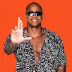 Léo Santana, Mc Liandrro, Zé Felipe, Luisa sonza, Anitta [ AS MELHORES DO FUNK 2026]