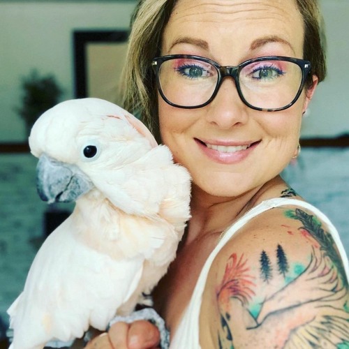 Stream episode VAN 028 Liz Vetrano BS,CVT by Veterinary Anesthesia