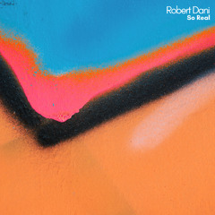 Robert Dani - So Real (Radio Mix)