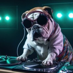 Kids Disco