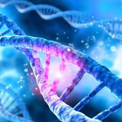 02 Los Misterios De La Vida Maquete