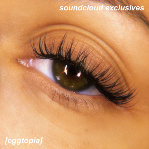Dolly lashes sale