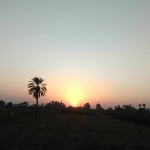 محمد فؤاد  معاك من اول يوم