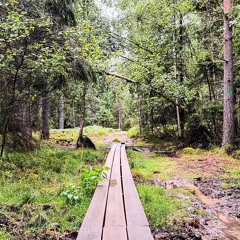 abstract dance music for trail running (171 BPM)