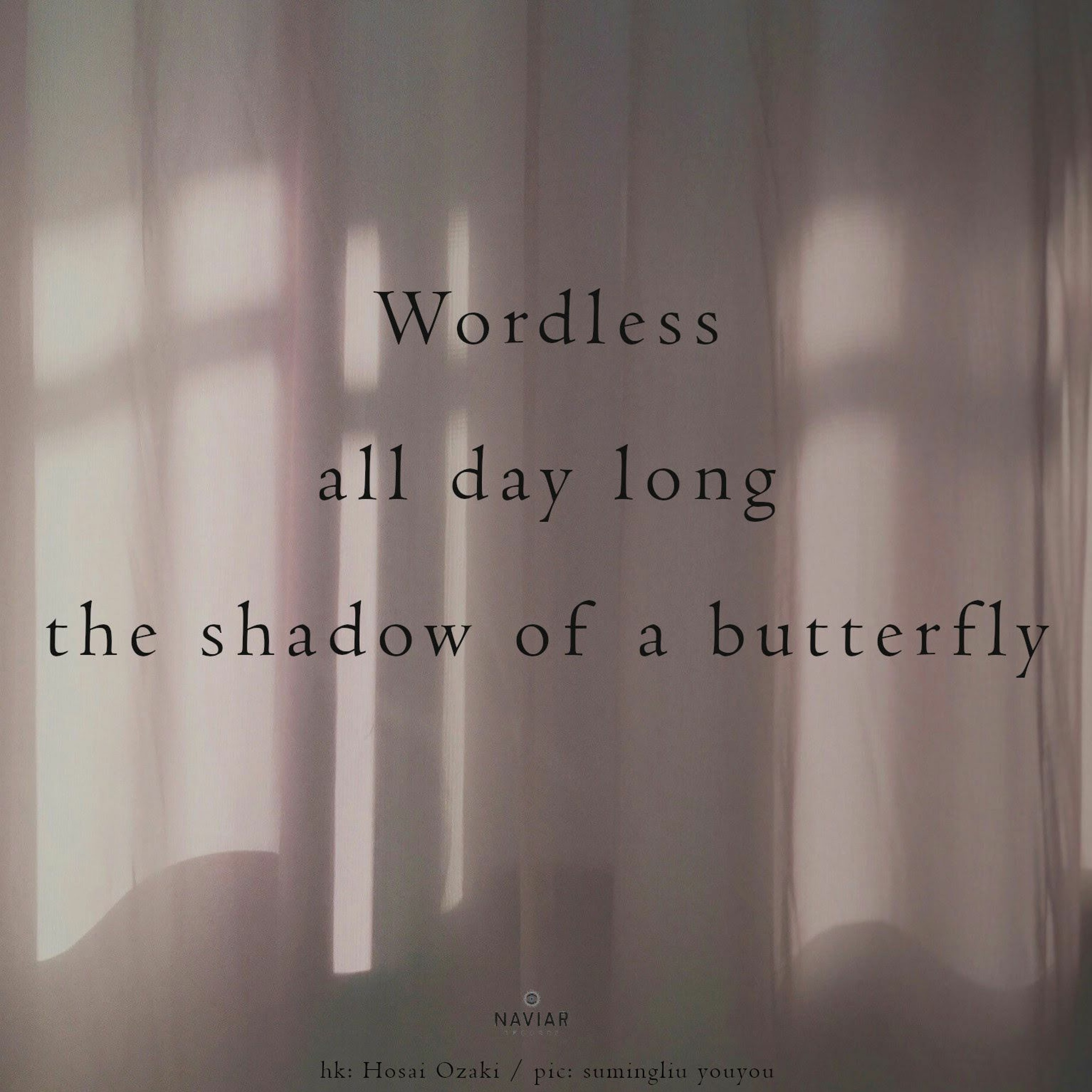 Shadows Of Silence (naviarhaiku532)