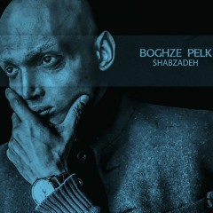 Shabzadeh - Boghze Pelk