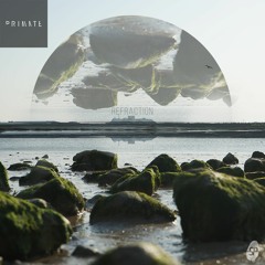 Primate - Disclose