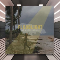 Agro - Downloadable Funk [Floodlight: DNB Aid For Jamaica]