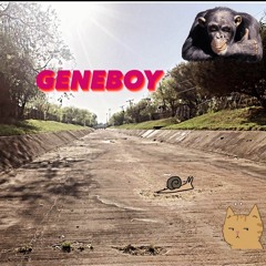 geneboy ft. filthymike (prod. Ahnboi)