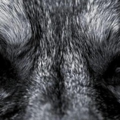 Mac Tire - live at University of Huddersfield