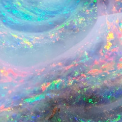 belong and don't belong_demo