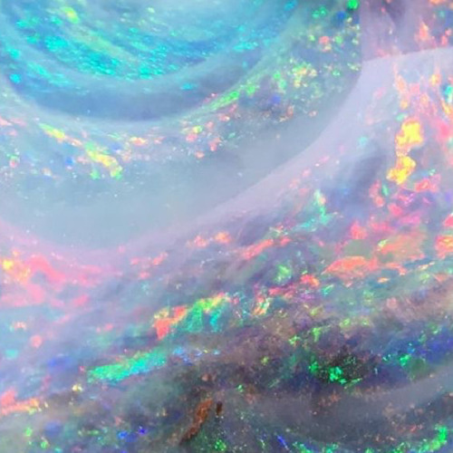 belong and don't belong_demo