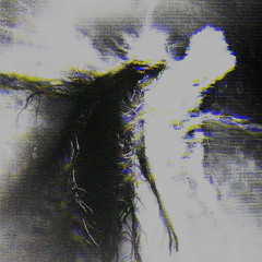 Bleed
