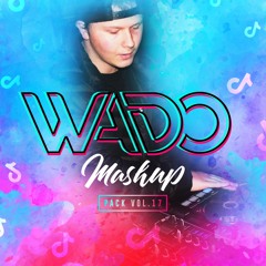 Wado's Mashup Pack Vol. 17 (Promo Mix) | 40+ Tracks | *Supported By The Stafford Brothers