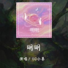 DJ小暴 - 明明 「有多委屈明明深爱着你」【動態歌詞/pīn yīn gē cí】 #DJ小暴 #明明 #動態歌詞 #LyricsVideo