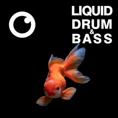 Liquid Drum & Bass Sessions #54 [February 2022]