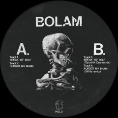 PREMIERE: Bolam - Forgot My Brain (Willy remix) (MELD)