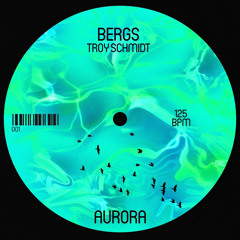 BERGS & Troy Schmidt - Aurora