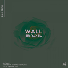 Paul Prior - Wall Texture (Original Mix)
