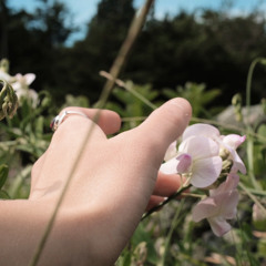 Dancing With Our Hands Tied