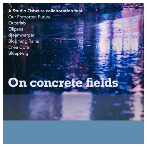 On concrete fields