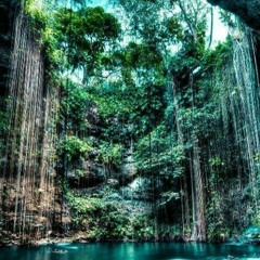 Steve — DHM Podcast #907 (Forests Of Tulum, May 2020)