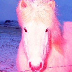 BOPRS.FM DECEMBER MIX (password audition extended)