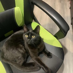 ДИСС НА ЮРИЯ ДУДЯ (2025)