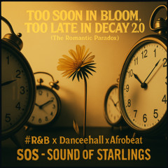 Too Soon in Bloom, Too Late in Decay 2.0 (The Romantic Paradox) #R&B x Dancehall x Afrobeat