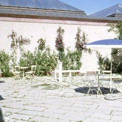 Hyllning till fågelperspektivet