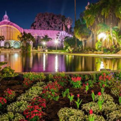 Best Things To Do In San Diego Ca July Tours Reviews