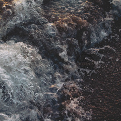 The Sun Dances on the Ocean Floor In a Spectral Waltz