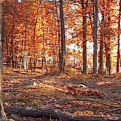 grustt' (prod. youngslashprod + cryeprecision)