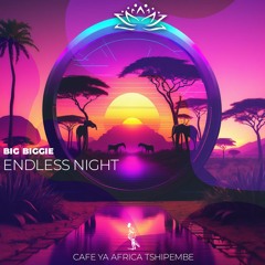 Big Biggie - Endless Night  (Cafe Ya Africa Tshipembe)