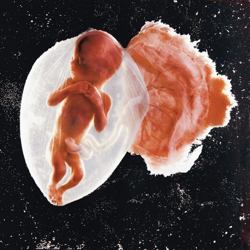 FLEXIN' SINCE A FETUS (PROD. LUNA)