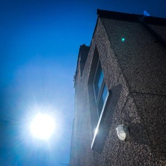 Field Recording - My Backyard - late afternoon -  8 May 2020 - disquiet0436