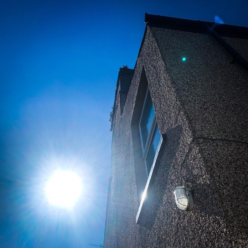 Field Recording - My Backyard - late afternoon -  8 May 2020 - disquiet0436