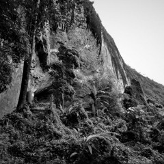 the vampire blacksmith caverns of the southern jungle region