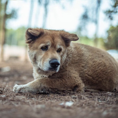 FoZzi - The Dark Side (CHAOS ULTIMATE BEAT CONTEST)