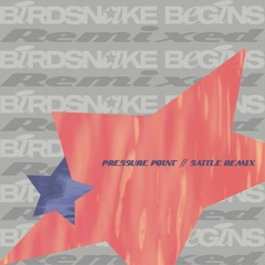 Birdsnake - Pressure Point (Sattle Remix)