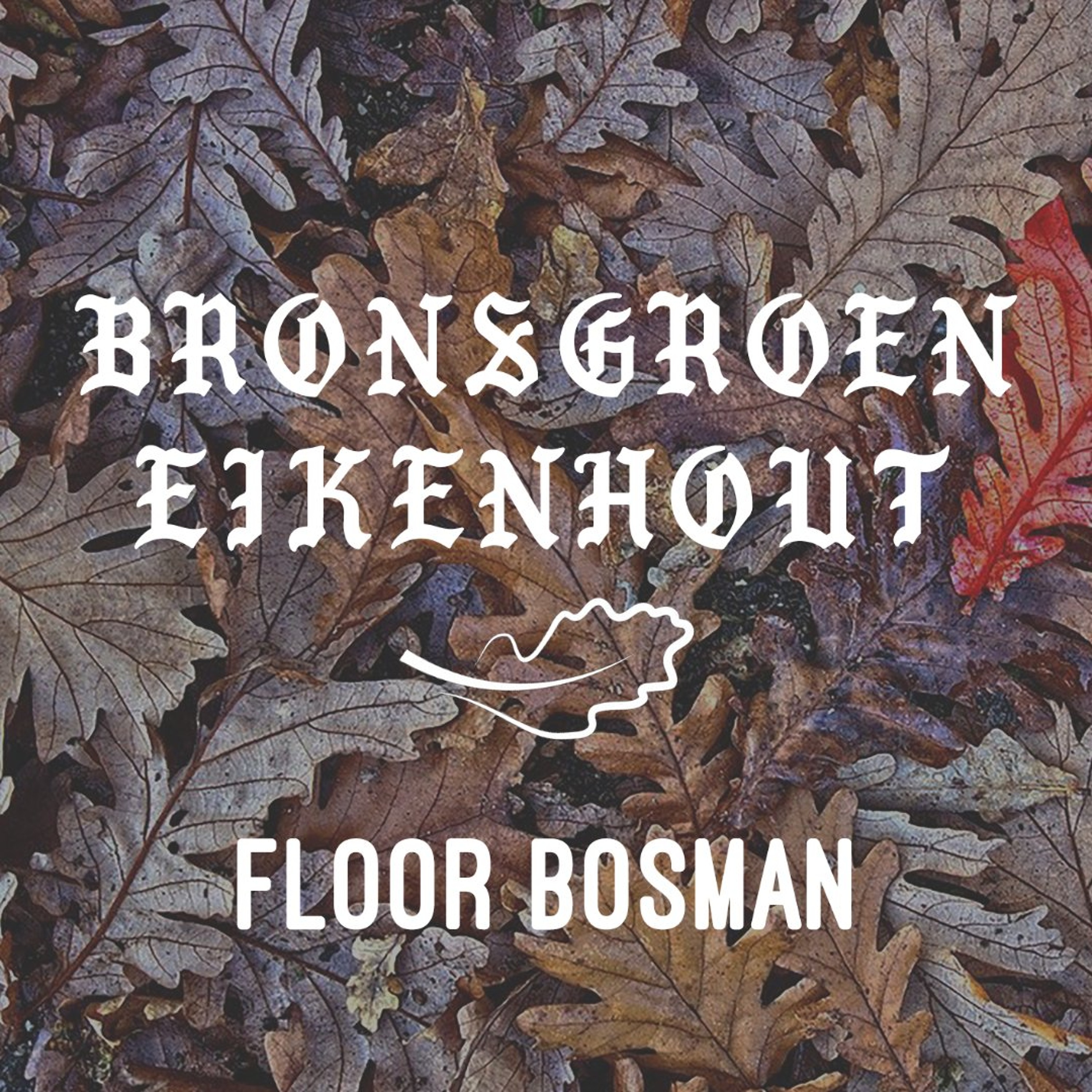 S4E2 Floor Bosman episode artwork