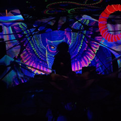 Mansechicadelia #2 - Seireenien Suomireeneistä Sekadeliaan 31.12.2025 set