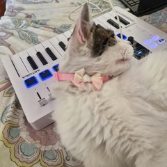 1_4952120416391923283.m4a