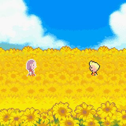 Sunflowers And Illusions