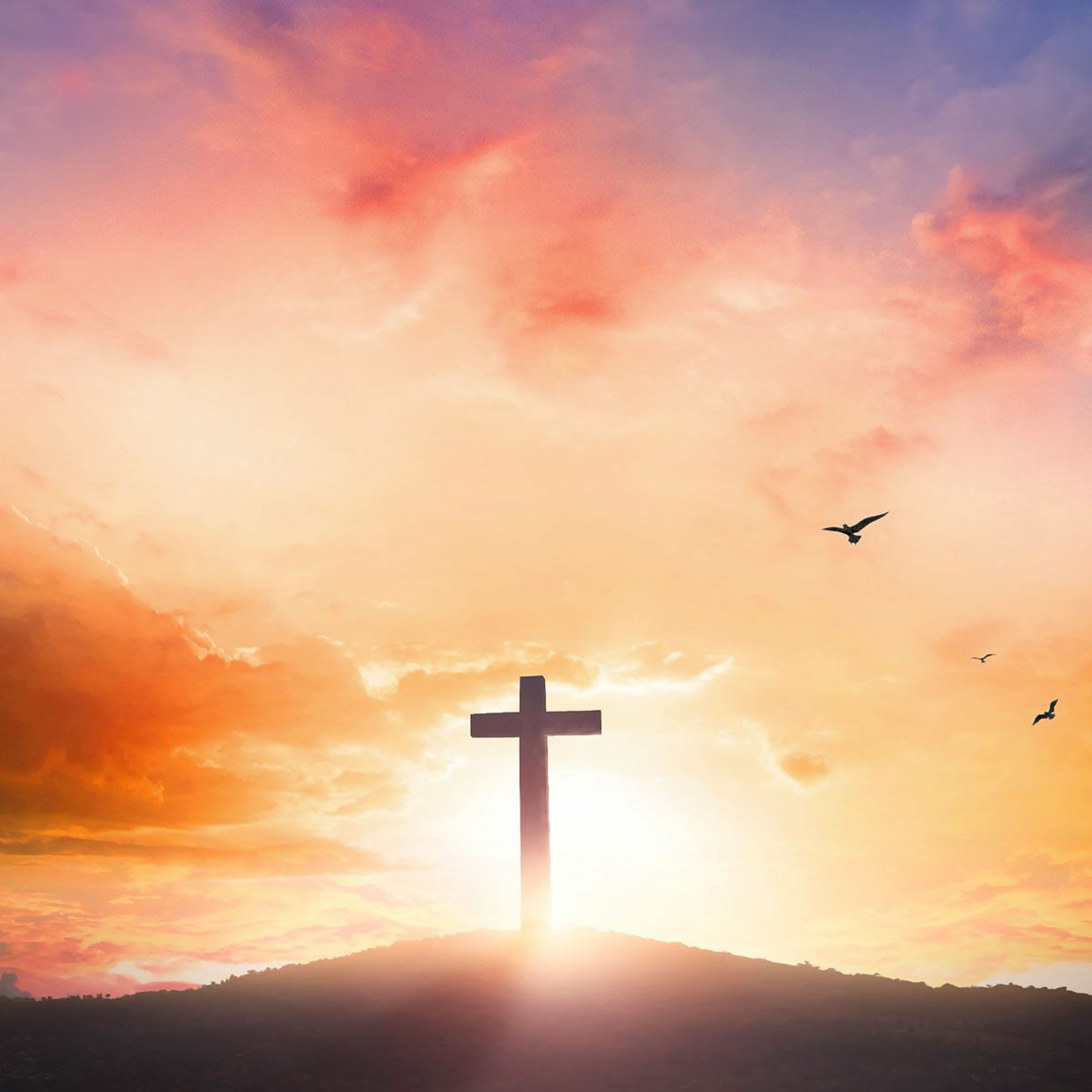 Jesus, a Luz da Vida - Pra. Viviene Oliveira - Culto da Vitória [21.12.2022] episode artwork
