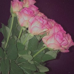 FlyAwayWithMe (Demo)